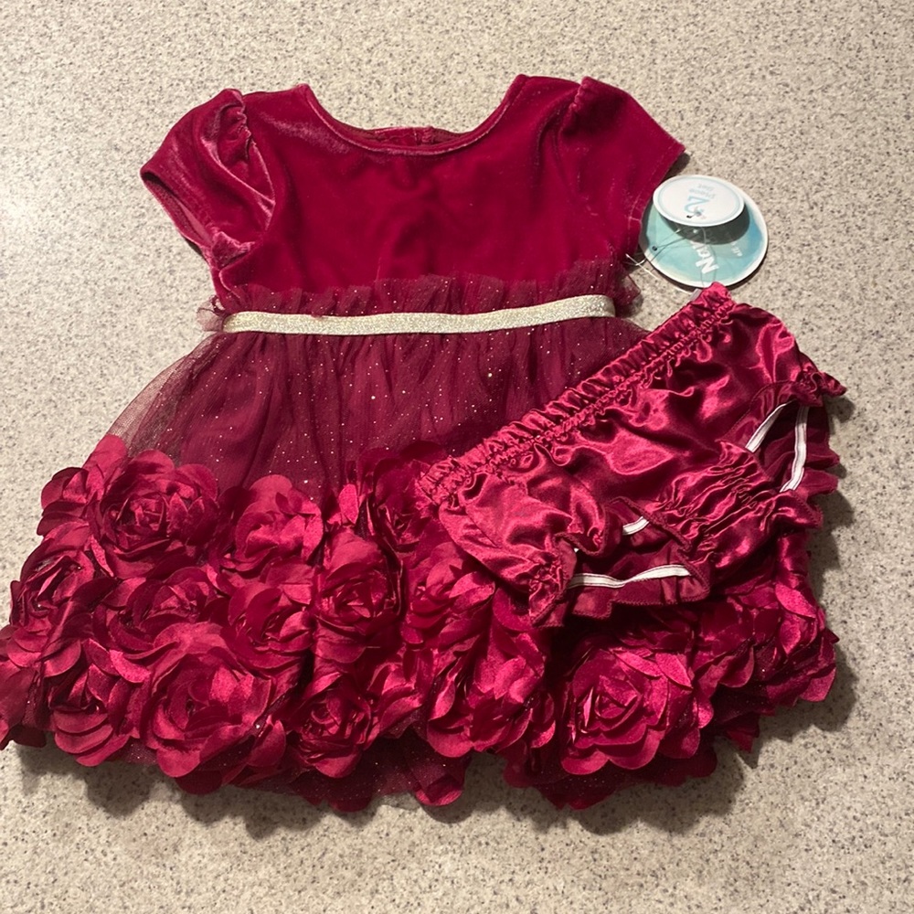 Nannette Burgundy Velvet & Rose Appliqué Formal Dress with Gold Belt